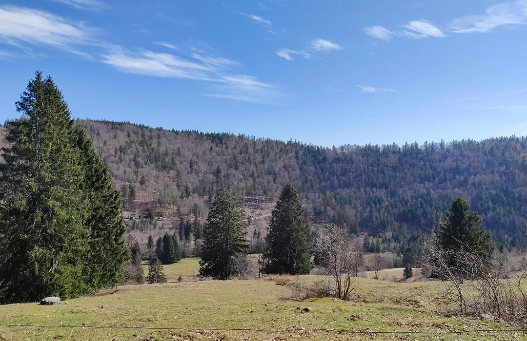 Berggasthaus Präger Böden-1